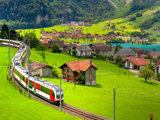 Destination Management Company: A Guide for Travel Partners | Truvai Global